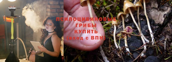крисы Каменногорск