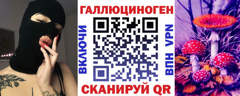 где купить наркотик  Гусиноозёрск  kraken маркетплейс  Галлюциногенные грибы Psilocybine cubensis 