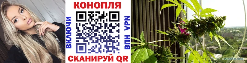 магазин продажи наркотиков  ОМГ ОМГ вход  Конопля Ganja  Гусиноозёрск 